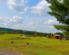 Lot 21 Katy Lane, Davis, West Virginia 26260, 0 , 0 ,0,Lots/land,For Sale,Katy,0,10166112