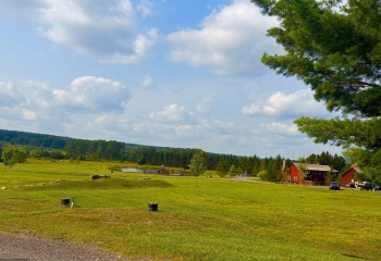 Lot 21 Katy Lane, Davis, West Virginia 26260, 0 , 0 ,0,Lots/land,For Sale,Katy,0,10166112