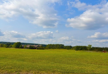 Lot 22 Katy Lane, Davis, West Virginia 26260, 0 , 0 ,0,Lots/land,For Sale,Katy,0,10166113