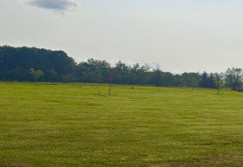 Lot 25 Katy Lane, Davis, West Virginia 26260, 0 , 0 ,0,Lots/land,For Sale,Katy,0,10166115