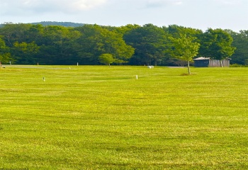 Lot 31 Katy Lane, Davis, West Virginia 26260, 0 , 0 ,0,Lots/land,For Sale,Katy,0,10166118