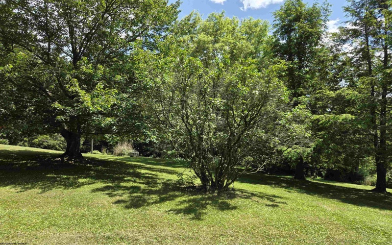 49 Price Hill Road, Morgantown, West Virginia 26501-2319, 3 Bedrooms Bedrooms, 7 Rooms Rooms,3 BathroomsBathrooms,Single Family Detached,For Sale,Price Hill,0,10166125