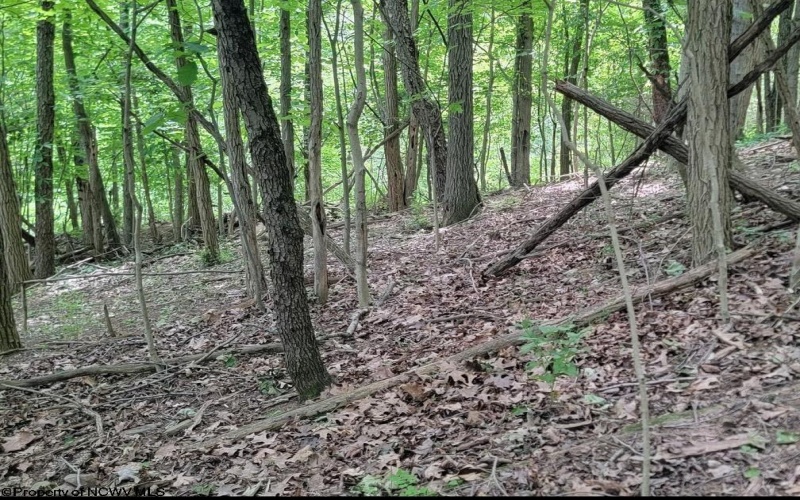 46 Pounds Hollow Road, Morgantown, West Virginia 26508, 3 Bedrooms Bedrooms, 6 Rooms Rooms,2 BathroomsBathrooms,Single Family Detached,For Sale,Pounds Hollow,0,10166128