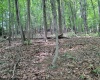 46 Pounds Hollow Road, Morgantown, West Virginia 26508, 3 Bedrooms Bedrooms, 6 Rooms Rooms,2 BathroomsBathrooms,Single Family Detached,For Sale,Pounds Hollow,0,10166128