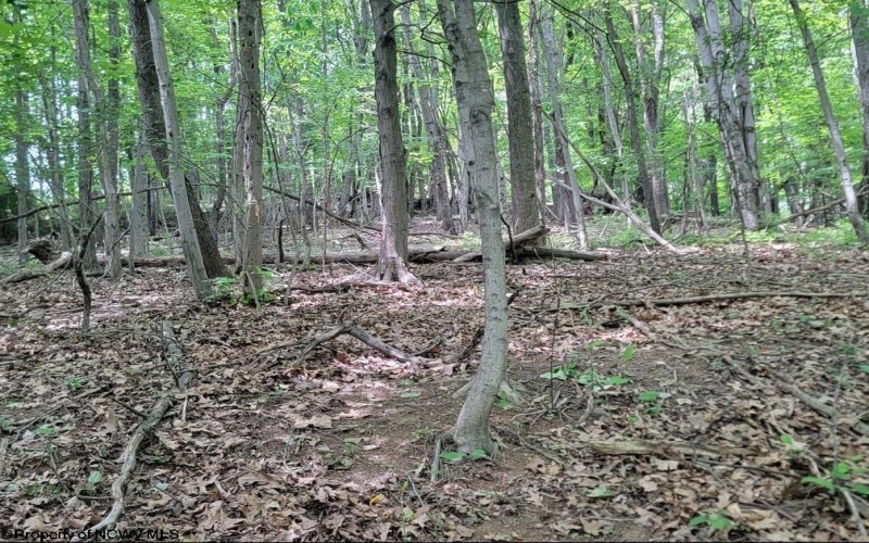 46 Pounds Hollow Road, Morgantown, West Virginia 26508, 3 Bedrooms Bedrooms, 6 Rooms Rooms,2 BathroomsBathrooms,Single Family Detached,For Sale,Pounds Hollow,0,10166128