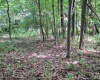 46 Pounds Hollow Road, Morgantown, West Virginia 26508, 3 Bedrooms Bedrooms, 6 Rooms Rooms,2 BathroomsBathrooms,Single Family Detached,For Sale,Pounds Hollow,0,10166128