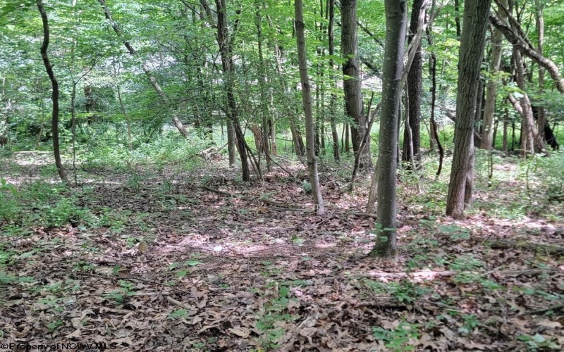 46 Pounds Hollow Road, Morgantown, West Virginia 26508, 3 Bedrooms Bedrooms, 6 Rooms Rooms,2 BathroomsBathrooms,Single Family Detached,For Sale,Pounds Hollow,0,10166128