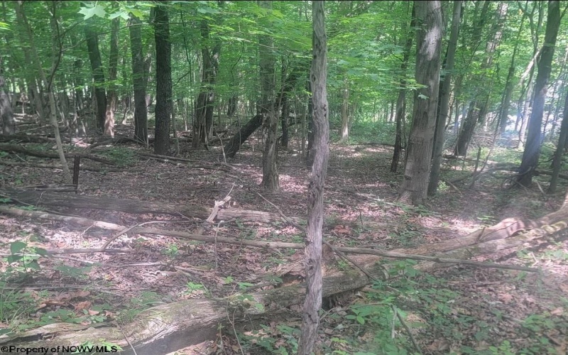 46 Pounds Hollow Road, Morgantown, West Virginia 26508, 3 Bedrooms Bedrooms, 6 Rooms Rooms,2 BathroomsBathrooms,Single Family Detached,For Sale,Pounds Hollow,0,10166128