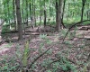 46 Pounds Hollow Road, Morgantown, West Virginia 26508, 3 Bedrooms Bedrooms, 6 Rooms Rooms,2 BathroomsBathrooms,Single Family Detached,For Sale,Pounds Hollow,0,10166128
