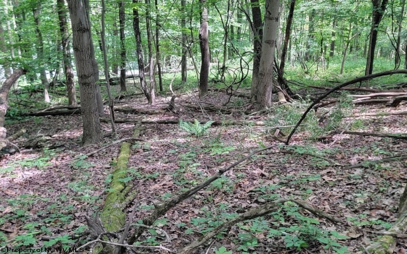 46 Pounds Hollow Road, Morgantown, West Virginia 26508, 3 Bedrooms Bedrooms, 6 Rooms Rooms,2 BathroomsBathrooms,Single Family Detached,For Sale,Pounds Hollow,0,10166128
