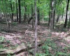 46 Pounds Hollow Road, Morgantown, West Virginia 26508, 3 Bedrooms Bedrooms, 6 Rooms Rooms,2 BathroomsBathrooms,Single Family Detached,For Sale,Pounds Hollow,0,10166128