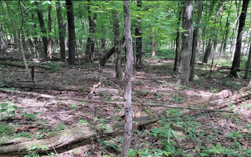 46 Pounds Hollow Road, Morgantown, West Virginia 26508, 3 Bedrooms Bedrooms, 6 Rooms Rooms,2 BathroomsBathrooms,Single Family Detached,For Sale,Pounds Hollow,0,10166128