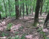 46 Pounds Hollow Road, Morgantown, West Virginia 26508, 3 Bedrooms Bedrooms, 6 Rooms Rooms,2 BathroomsBathrooms,Single Family Detached,For Sale,Pounds Hollow,0,10166128