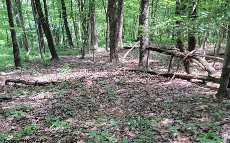 46 Pounds Hollow Road, Morgantown, West Virginia 26508, 3 Bedrooms Bedrooms, 6 Rooms Rooms,2 BathroomsBathrooms,Single Family Detached,For Sale,Pounds Hollow,0,10166128