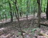 46 Pounds Hollow Road, Morgantown, West Virginia 26508, 3 Bedrooms Bedrooms, 6 Rooms Rooms,2 BathroomsBathrooms,Single Family Detached,For Sale,Pounds Hollow,0,10166128
