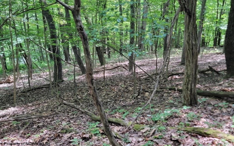 46 Pounds Hollow Road, Morgantown, West Virginia 26508, 3 Bedrooms Bedrooms, 6 Rooms Rooms,2 BathroomsBathrooms,Single Family Detached,For Sale,Pounds Hollow,0,10166128