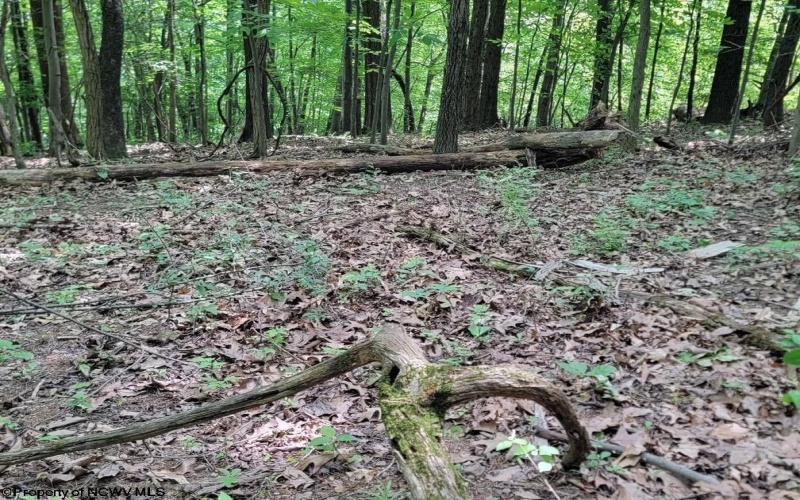 46 Pounds Hollow Road, Morgantown, West Virginia 26508, 3 Bedrooms Bedrooms, 6 Rooms Rooms,2 BathroomsBathrooms,Single Family Detached,For Sale,Pounds Hollow,0,10166128