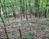 46 Pounds Hollow Road, Morgantown, West Virginia 26508, 3 Bedrooms Bedrooms, 6 Rooms Rooms,2 BathroomsBathrooms,Single Family Detached,For Sale,Pounds Hollow,0,10166128