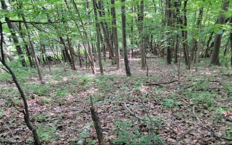 46 Pounds Hollow Road, Morgantown, West Virginia 26508, 3 Bedrooms Bedrooms, 6 Rooms Rooms,2 BathroomsBathrooms,Single Family Detached,For Sale,Pounds Hollow,0,10166128