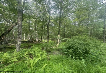88 Goldenrod Drive, Terra Alta, West Virginia 26764, 0 , 0 ,0,Lots/land,For Sale,Goldenrod,0,10160720