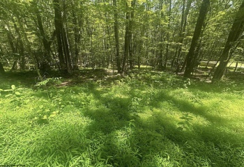 134 Windflower Drive, Terra Alta, West Virginia 26766, 0 , 0 ,0,Lots/land,For Sale,Windflower,0,10160718