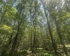 134 Windflower Drive, Terra Alta, West Virginia 26766, 0 , 0 ,0,Lots/land,For Sale,Windflower,0,10160718