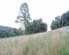 TBD Lakeview Drive, Grafton, West Virginia 26354, 0 , 0 ,0,Lots/land,For Sale,Lakeview,0,10166135