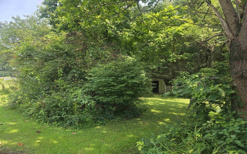 79 Y Road, Arthurdale, West Virginia 26520, 4 Bedrooms Bedrooms, 7 Rooms Rooms,1 BathroomBathrooms,Single Family Detached,For Sale,Y,0,10166136