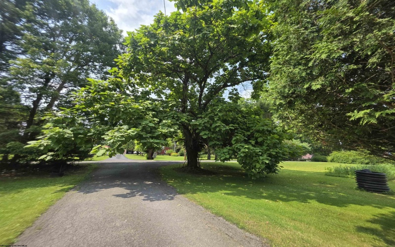 79 Y Road, Arthurdale, West Virginia 26520, 4 Bedrooms Bedrooms, 7 Rooms Rooms,1 BathroomBathrooms,Single Family Detached,For Sale,Y,0,10166136