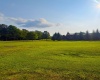 Lot 41 Penny Lane, Davis, West Virginia 26260, 0 , 0 ,0,Lots/land,For Sale,Penny,0,10166153 Lot 41 Penny Lane, Davis, West Virginia 26260, 0 , 0 ,0,Lots/land,For Sale,Penny,0,10166153