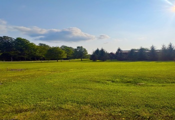 Lot 41 Penny Lane, Davis, West Virginia 26260, 0 , 0 ,0,Lots/land,For Sale,Penny,0,10166153