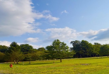 Lot 42 Penny Lane, Davis, West Virginia 26260, 0 , 0 ,0,Lots/land,For Sale,Penny,0,10166154
