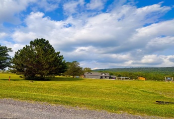 Lot 44 Penny Lane, Davis, West Virginia 26260, 0 , 0 ,0,Lots/land,For Sale,Penny,0,10166156