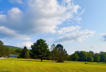 Lot 45 Penny Lane, Davis, West Virginia 26260, 0 , 0 ,0,Lots/land,For Sale,Penny,0,10166157