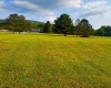 Lot 46 Penny Lane, Davis, West Virginia 26260, 0 , 0 ,0,Lots/land,For Sale,Penny,0,10166158 Lot 46 Penny Lane, Davis, West Virginia 26260, 0 , 0 ,0,Lots/land,For Sale,Penny,0,10166158
