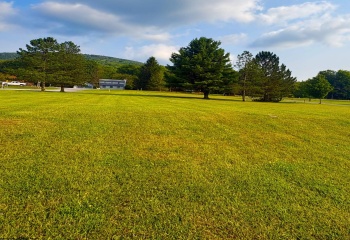 Lot 46 Penny Lane, Davis, West Virginia 26260, 0 , 0 ,0,Lots/land,For Sale,Penny,0,10166158