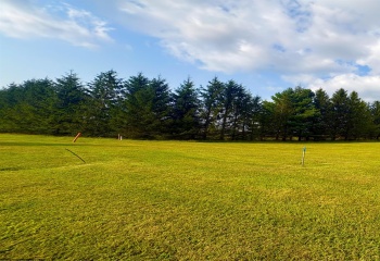 Lot 47 Penny Lane, Davis, West Virginia 26260, 0 , 0 ,0,Lots/land,For Sale,Penny,0,10166159