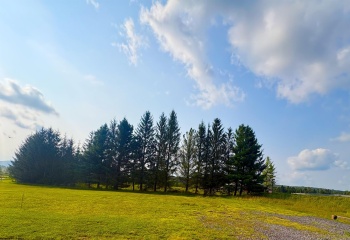 Lot 48 Penny Lane, Davis, West Virginia 26260, 0 , 0 ,0,Lots/land,For Sale,Penny,0,10166160