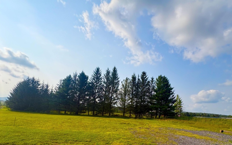 Lot 48 Penny Lane, Davis, West Virginia 26260, 0 , 0 ,0,Lots/land,For Sale,Penny,0,10166160 Lot 48 Penny Lane, Davis, West Virginia 26260, 0 , 0 ,0,Lots/land,For Sale,Penny,0,10166160