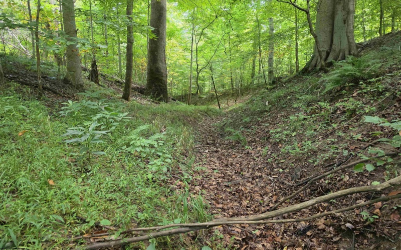 1131 Sisson Terrace, Charleston, West Virginia 25320, 0 , 0 ,0,Lots/land,For Sale,Sisson,0,10166171 1131 Sisson Terrace, Charleston, West Virginia 25320, 0 , 0 ,0,Lots/land,For Sale,Sisson,0,10166171