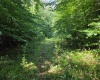 1131 Sisson Terrace, Charleston, West Virginia 25320, 0 , 0 ,0,Lots/land,For Sale,Sisson,0,10166171 1131 Sisson Terrace, Charleston, West Virginia 25320, 0 , 0 ,0,Lots/land,For Sale,Sisson,0,10166171