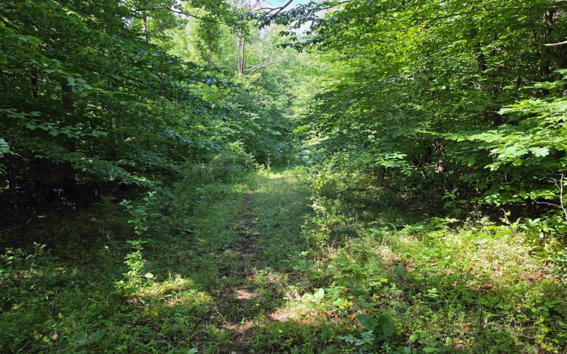 1131 Sisson Terrace, Charleston, West Virginia 25320, 0 , 0 ,0,Lots/land,For Sale,Sisson,0,10166171 1131 Sisson Terrace, Charleston, West Virginia 25320, 0 , 0 ,0,Lots/land,For Sale,Sisson,0,10166171