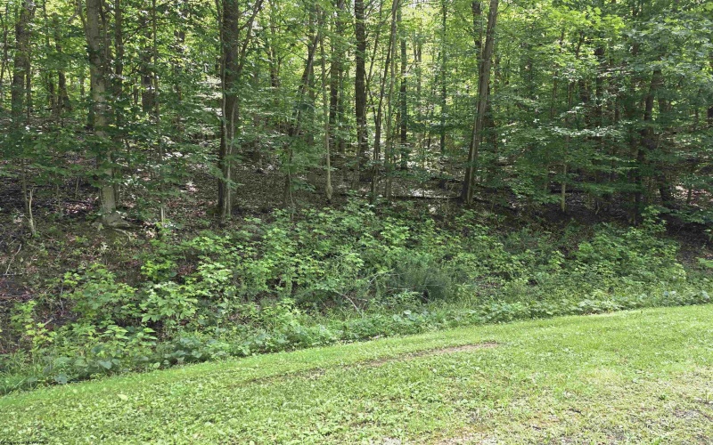 1131 Sisson Terrace, Charleston, West Virginia 25320, 0 , 0 ,0,Lots/land,For Sale,Sisson,0,10166171 1131 Sisson Terrace, Charleston, West Virginia 25320, 0 , 0 ,0,Lots/land,For Sale,Sisson,0,10166171