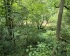 1131 Sisson Terrace, Charleston, West Virginia 25320, 0 , 0 ,0,Lots/land,For Sale,Sisson,0,10166171 1131 Sisson Terrace, Charleston, West Virginia 25320, 0 , 0 ,0,Lots/land,For Sale,Sisson,0,10166171