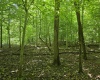 1131 Sisson Terrace, Charleston, West Virginia 25320, 0 , 0 ,0,Lots/land,For Sale,Sisson,0,10166171 1131 Sisson Terrace, Charleston, West Virginia 25320, 0 , 0 ,0,Lots/land,For Sale,Sisson,0,10166171