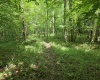 1131 Sisson Terrace, Charleston, West Virginia 25320, 0 , 0 ,0,Lots/land,For Sale,Sisson,0,10166171 1131 Sisson Terrace, Charleston, West Virginia 25320, 0 , 0 ,0,Lots/land,For Sale,Sisson,0,10166171