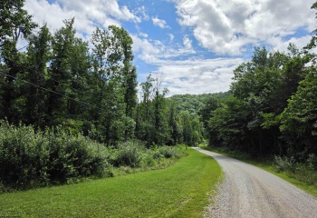 1131 Sisson Terrace, Charleston, West Virginia 25320, 0 , 0 ,0,Lots/land,For Sale,Sisson,0,10166171