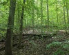 1131 Sisson Terrace, Charleston, West Virginia 25320, 0 , 0 ,0,Lots/land,For Sale,Sisson,0,10166171 1131 Sisson Terrace, Charleston, West Virginia 25320, 0 , 0 ,0,Lots/land,For Sale,Sisson,0,10166171