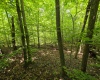 1131 Sisson Terrace, Charleston, West Virginia 25320, 0 , 0 ,0,Lots/land,For Sale,Sisson,0,10166171 1131 Sisson Terrace, Charleston, West Virginia 25320, 0 , 0 ,0,Lots/land,For Sale,Sisson,0,10166171