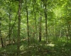 1131 Sisson Terrace, Charleston, West Virginia 25320, 0 , 0 ,0,Lots/land,For Sale,Sisson,0,10166171 1131 Sisson Terrace, Charleston, West Virginia 25320, 0 , 0 ,0,Lots/land,For Sale,Sisson,0,10166171